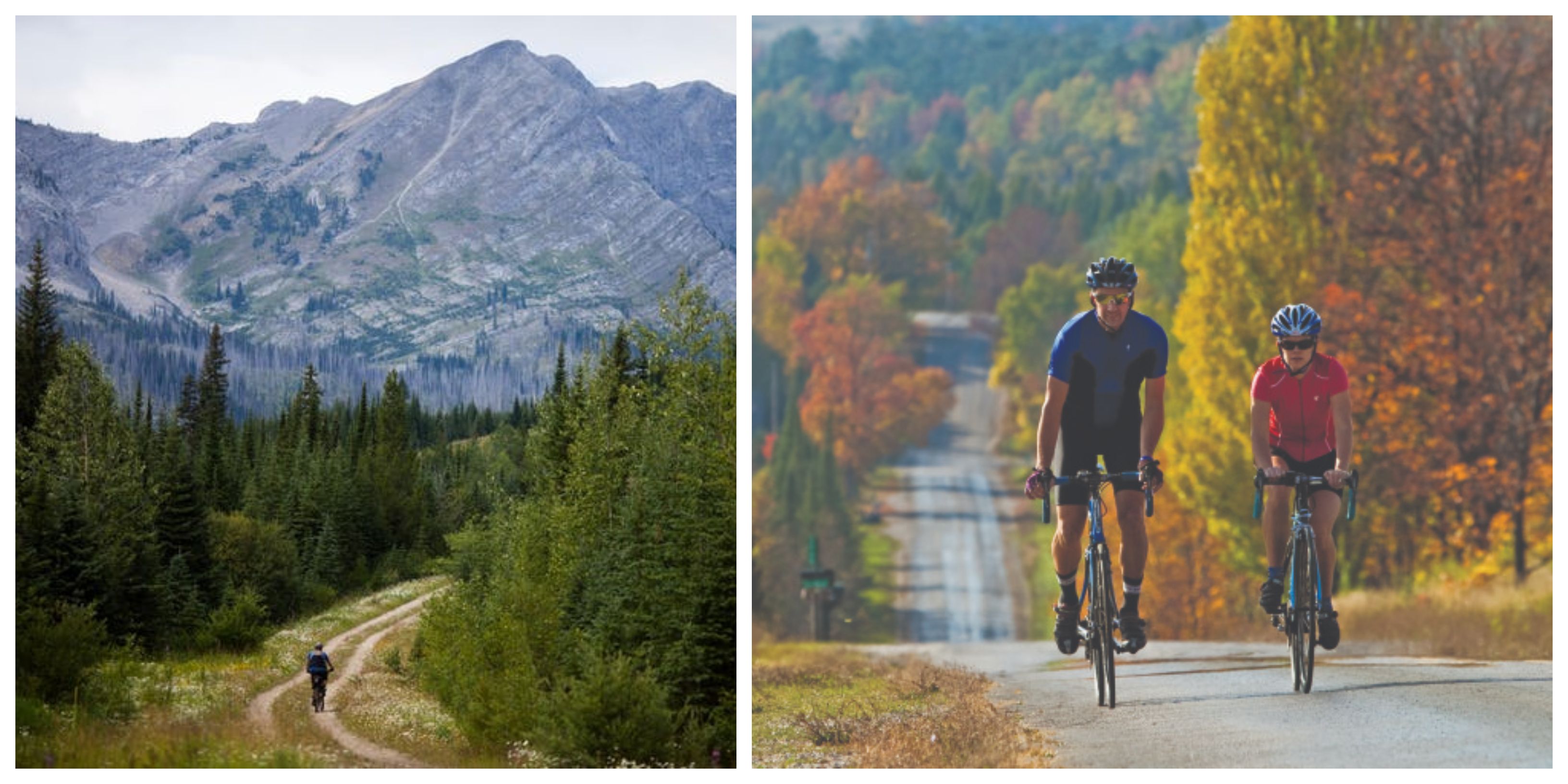 The 25 Most Scenic Biking Routes Perfect For Cycling