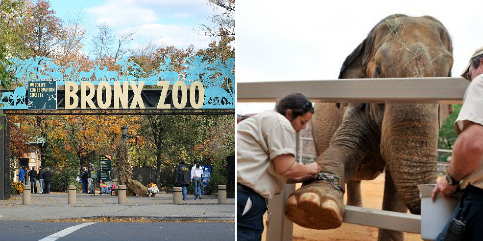10 US Zoos Everyone Should Visit (10 We Wouldn't Spend A Dime On)
