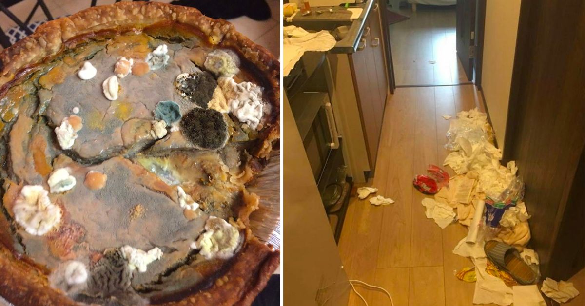 15 Pics Of The Worst Things AirBnB Houseguests Left Behind (9 They Stole)