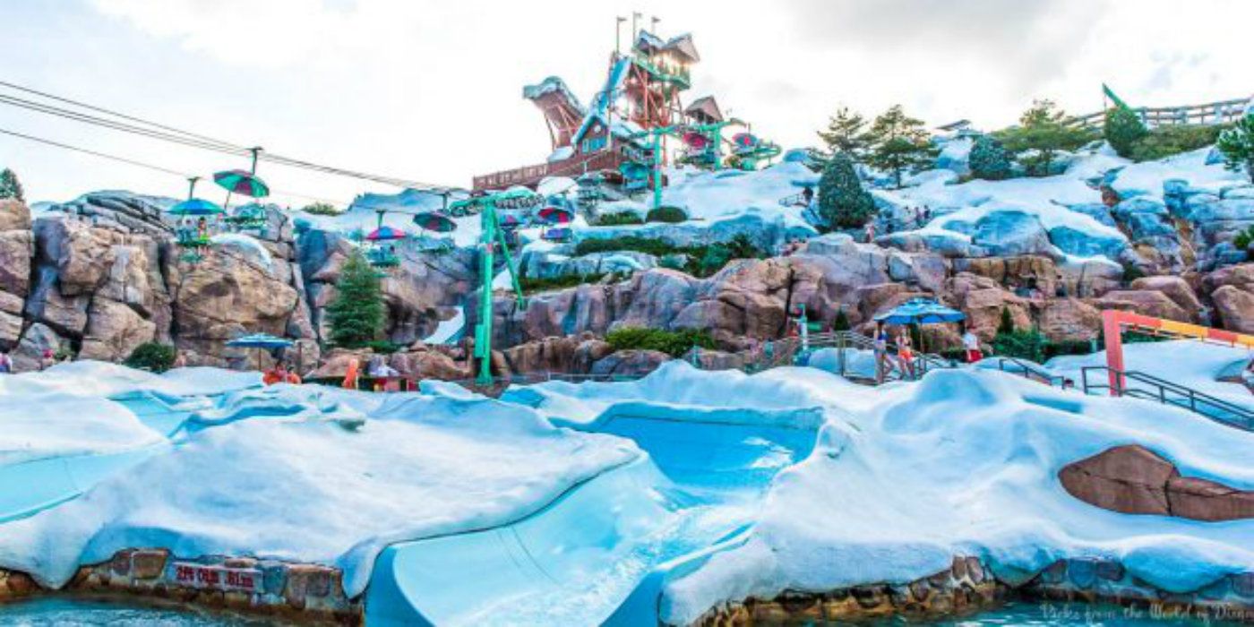 What Is The Best Water Park At Disney World