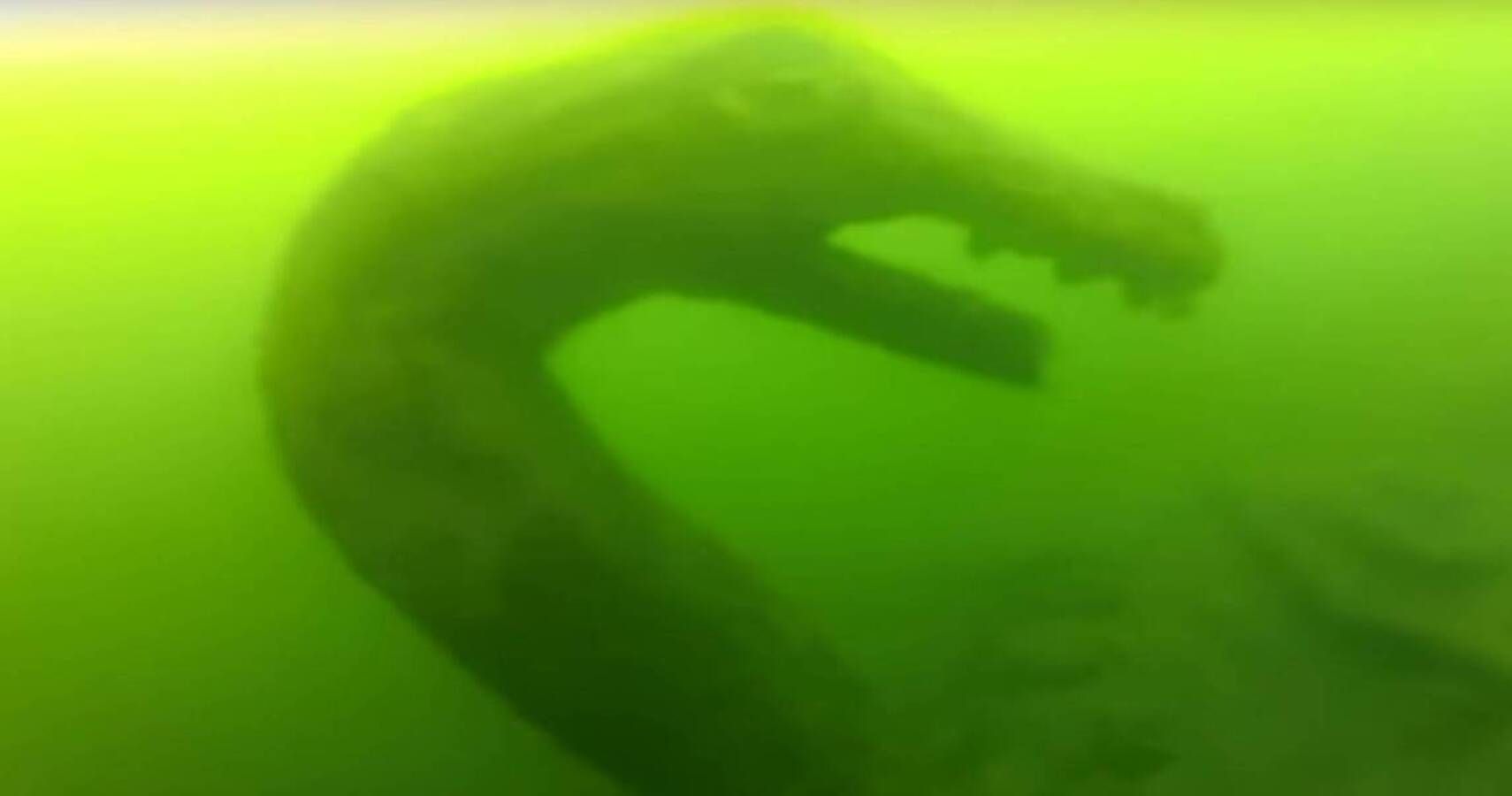 Watch: Ogopogo Sea Monster Wants You To Come Find It | TheTravel