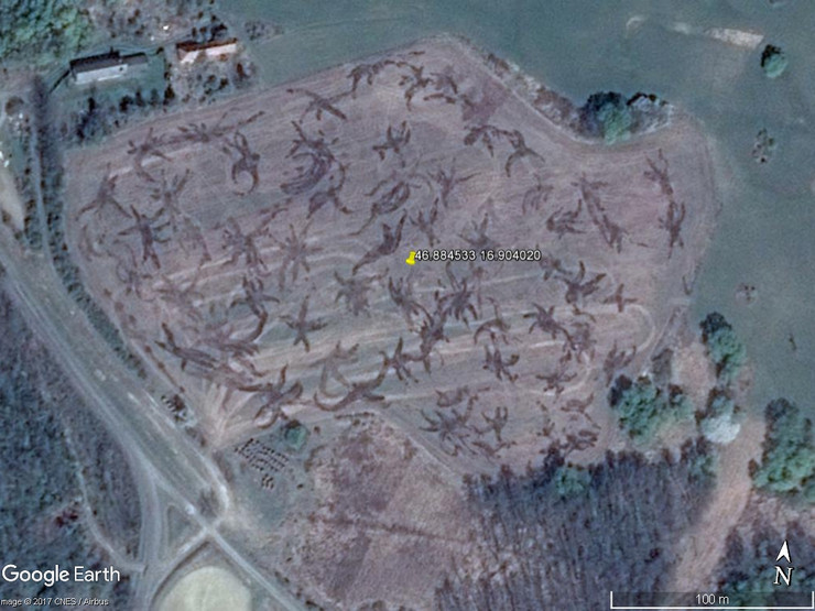 Pics Of The 20 Strangest Things Spotted On Google Earth Crazy Google Earth Images