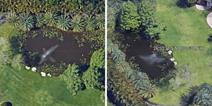 10 Google Earth Easter Eggs Recently Discovered In 2020